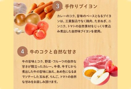 カレー 松屋 マイカリー食堂 欧風カレー の具 30個 冷凍 セット