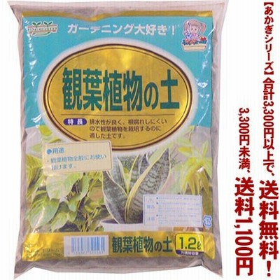 ((条件付き送料無料))((あかぎシリーズ))観葉植物の土 1.2L