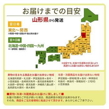 ＼只今、お届け中！日時指定OK／ 山形県産 赤肉メロン 秀品 約5kg (3〜5玉入り) 3L・4L玉 大玉 ギフト 贈答用 お中元 産地直送 庄内産 送料無料 果物 フルーツ