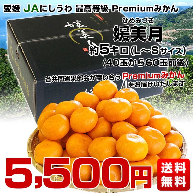 愛媛県より産地直送 JAにしうわ 西宇和プレミアムみかん「媛美月」 LからSサイズ 5キロ(40玉から60玉) 送料無料 蜜柑 ミカン ひめみづき