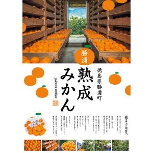 ふるさと納税 谷内青果 熟成みかん 秀品 サイズ混合 10kg 徳島県勝浦町