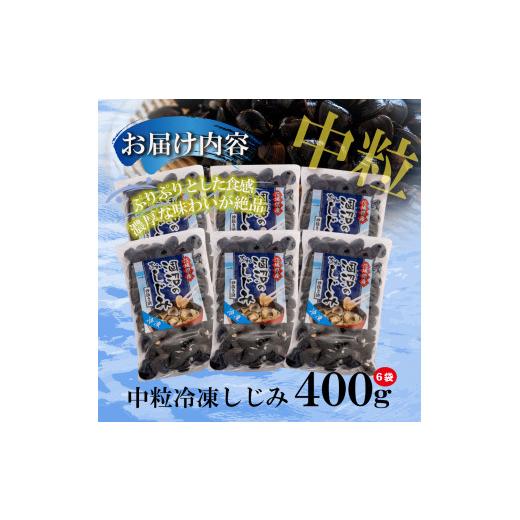 ふるさと納税 茨城県 大洗町 訳あり 涸沼産 中粒 冷凍 シジミ 2.4kg （400ｇ×6袋） しじみ 蜆 大和しじみ ヤマトシジミ 大玉 砂抜き済 冷凍 味噌汁 スープ 魚…