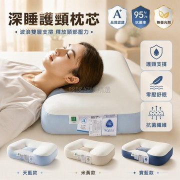 台灣出貨✨ 頸枕專用 48x74cm 深睡護頸枕 低中高枕 零壓支撐 自然牽引 久用不塌 成人家用枕芯