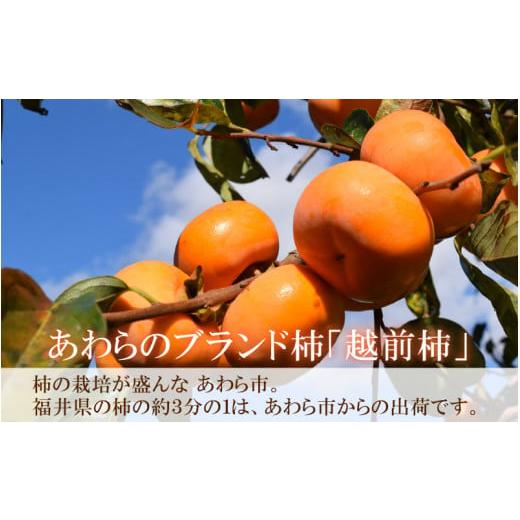 ふるさと納税 福井県 あわら市 越前柿 16〜20玉入 M〜2L 《種なしで食べやすく甘い！》 あわらブランド ／ 期間限定 果物 フルーツ 産地直送 旬 …