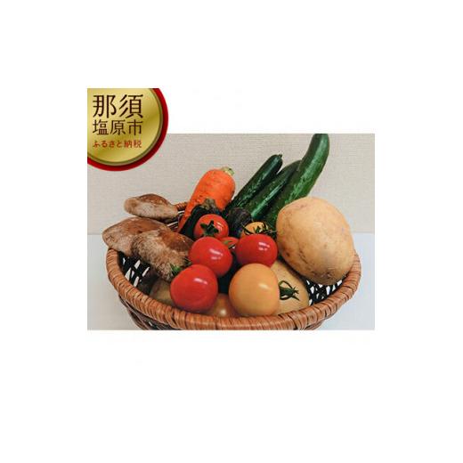 ふるさと納税 栃木県 那須塩原市 季節の野菜お試しセット(全5〜7品)