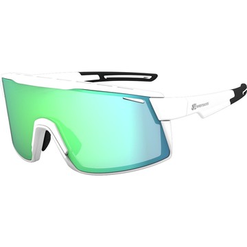 《Wensotti 威騰運動太陽眼鏡》 高功能鏡片 wi6945-S02-SP5 亮白