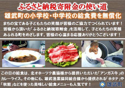 北海道雄武町産　牛肉セット（冷凍）(牛バラ肉700g)