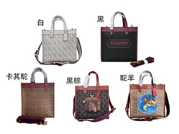 ~雪黛屋~COACH 方包超中容量國際正版保證進口防水防刮皮革品卡購證塵套提袋等候10-15日C07741