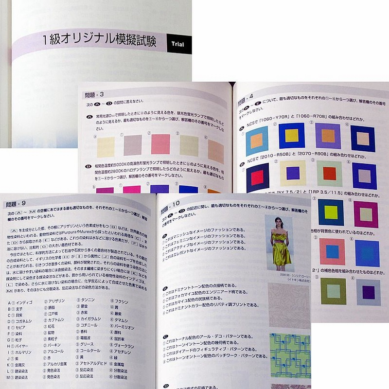 色彩検定1級問題集 改訂二版 （色彩検定1級問題集[改訂版]｜試験