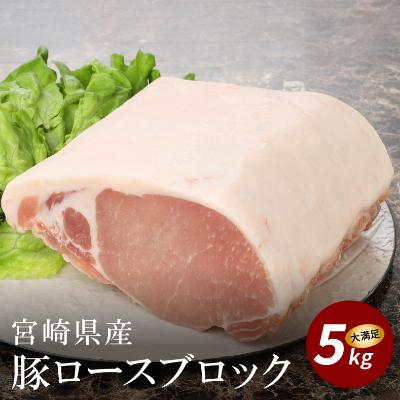 ふるさと納税 木城町 宮崎県産豚ロース　ブロック　約5kg