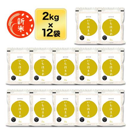 新米 令和5年(2023年)産  福井県産 いちほまれ 白米 24kg (2kg×12袋) 特A評価獲得