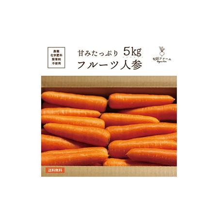 ふるさと納税 都内マルシェで人気のお野菜！甘みたっぷりフルーツにんじん 5kg F21R-196 福島県白河市