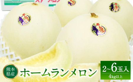 熊本県産 ホームランメロン 2-6玉 4kg以上