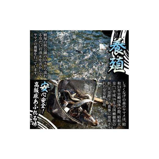 ふるさと納税 宮崎県 三股町 A-0203 黄金イクラとヤマメ一夜干しセット(3種)黄金イクラやヤマメを詰め合わせ！