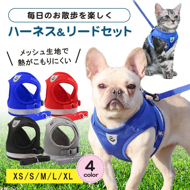 猫 ネコ ハーネス リード セット パープル 紫 XS 散歩 かわいい