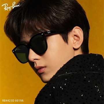 RAY BAN 偏光 太陽眼鏡(黑色)RB4423D