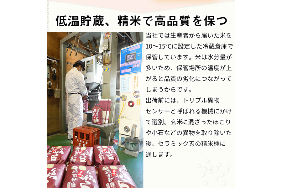 訳あり 定期便 新米 10kg （こしひかり 5kg ・きぬひかり 5kg） × 3ヶ月 京都丹波米 白米 3回定期便 コシヒカリ・キヌヒカリ 各5kg ×3回 計30kg※精米したてをお届け《食べ比べ 緊急支援 米・食味鑑定士 厳選 京都丹波産 特Ａ》 ※北海道・沖縄・離島への配送不可