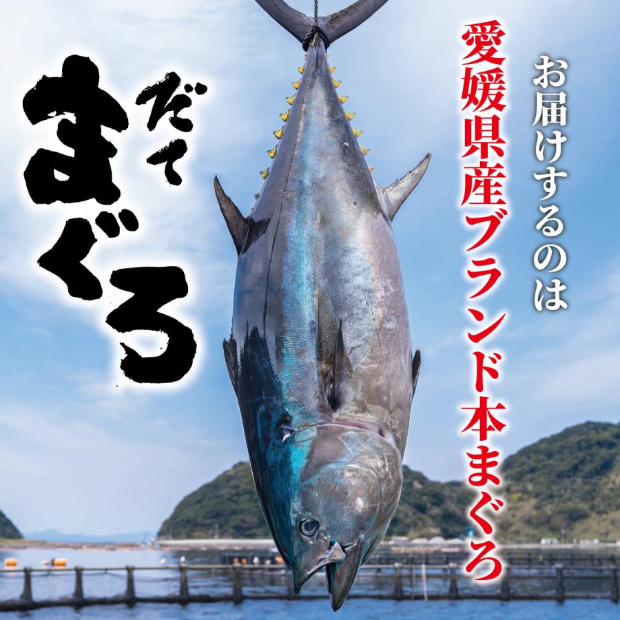 生本マグロ（だてまぐろ）大とろ200ｇ柵（さく） 鮪 伊達マグロ 海鮮 刺身 ギフト 国産 冷蔵 チルド クロマグロ