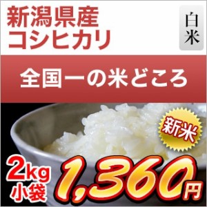 新米 令和5年(2023年)産 新潟県産 コシヒカリ 2kg (2kg×1袋)（白米）