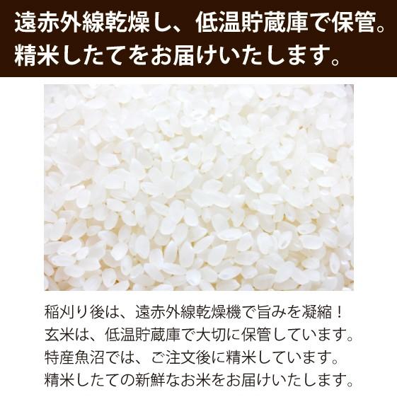 新米 お米ギフト　魚沼産コシヒカリ　白米５ｋｇ　化粧箱入り　令和５年産  安心安全 農家直送 信頼と品質のお米 魚沼市推奨コシヒカリ 送料無料