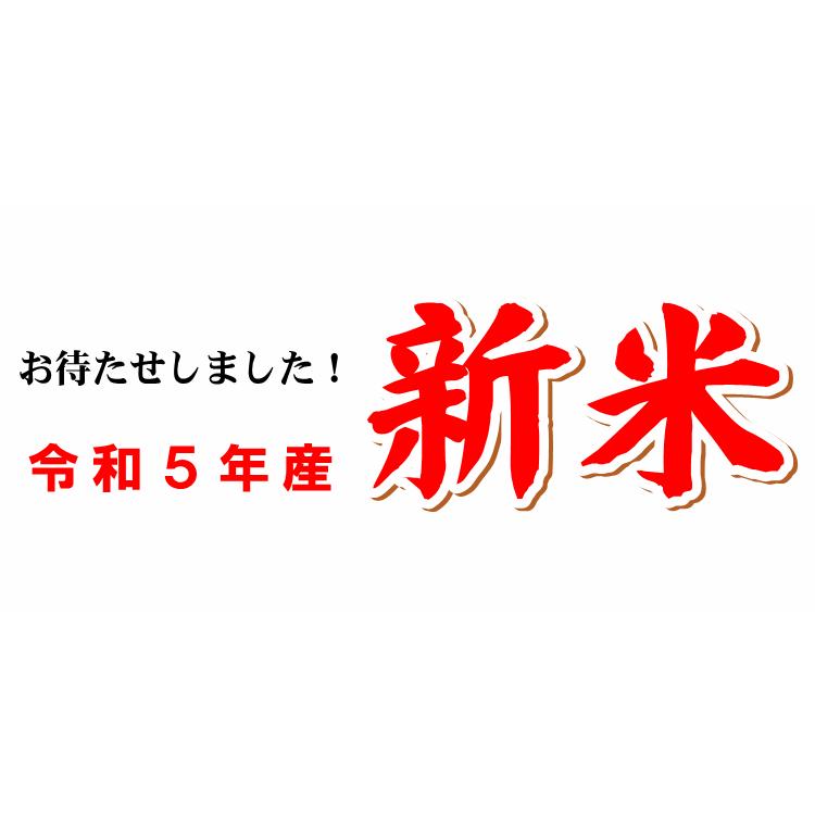 新米 無肥料 自然栽培米 令和5年産 ヒノヒカリ 20kg 農薬化学肥料不使用 白米 玄米 放射能検査済み