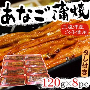 宮城県 三陸沖産 ”あなご蒲焼” 120g×8pc 山椒・タレ付き 送料無料