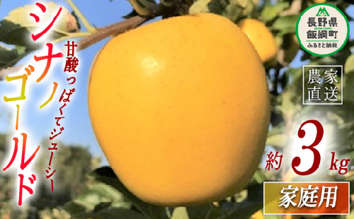 りんご シナノゴールド 家庭用 3kg ファームトヤ 沖縄県への配送不可 2023年11月中旬頃から2023年12月下旬頃まで順次発送予定 令和5年度収穫分 信州 果物 フルーツ リンゴ 林檎 長野 10500円 予約 農家直送 長野県 飯綱町 [1422]