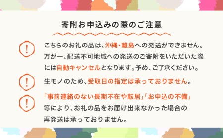 りんご サンふじ 約3kg 秀品 リンゴ 令和五年産 2023年産 果物 山形県産 ※沖縄・離島への配送不可 mm-risfs3