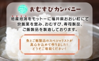 「11月～4月お届け」こだわりの 鯖寿司・焼き鯖寿司・ふくいサーモン寿司（各1本）3本セット