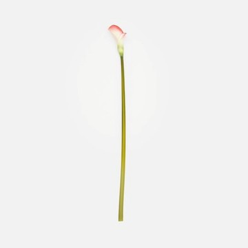 查莉擬真花插海芋69cm 紅