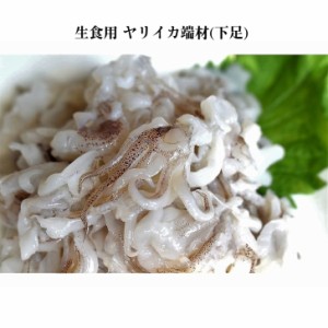 お刺身 やりいか 下足 端材 1kg 切り落とし ゲソ 業務用 回転 手巻き 寿司 ネタ 海鮮 丼 冷凍 通販 お得 人気 お買い得 ヤリイカ 烏賊 刺