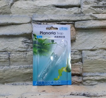 【西高地水族坊】台灣 ISTA 伊士達 玻璃 渦蟲捕捉器 玻璃渦蟲捕捉筆