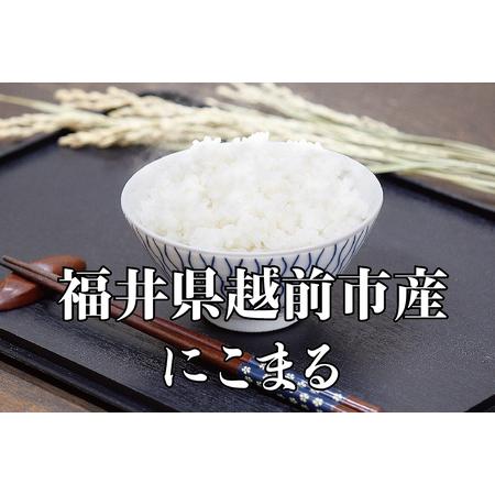 ふるさと納税 令和5年度産新米 にこまる 6kg 福井県越前市