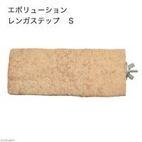 日本愛鳥LOVEWING-PRO 陶製站棍   長方型 / S /  日本製