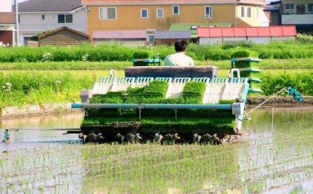 AD022　★令和5年産★特A受賞　銀河のしずく5kg　岩手県紫波町産