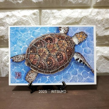 原畫 獨一無二 鋼珠筆畫 日本藝術家 色鉛筆畫 美術品 畫作 藝術 畫框裝裱 現代藝術 居家裝飾 龜畫