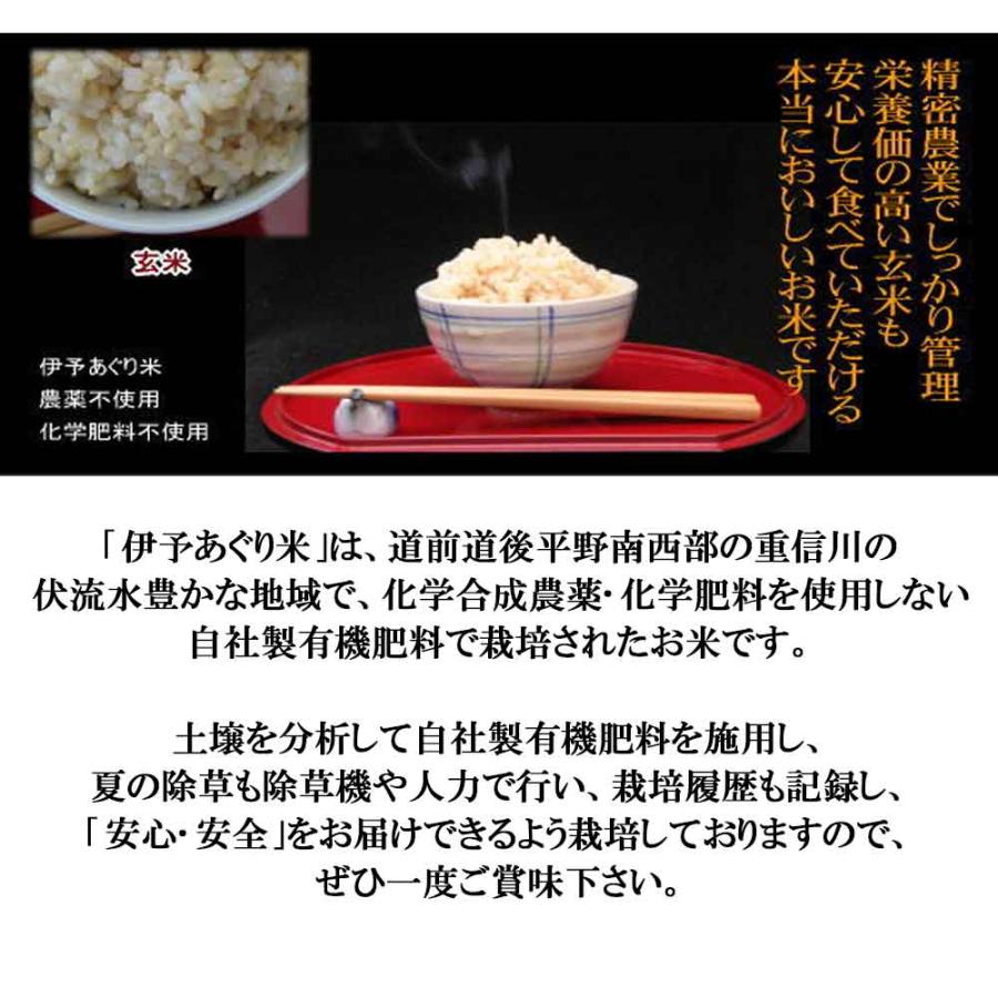 あぐり米 ヒノヒカリ 　白米5kg［農業法人あぐり］　愛媛産 ゴールド認証