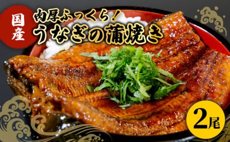 国産うなぎ 蒲焼き 2尾鰻 ウナギ[HBV001]