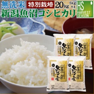 [売り尽くし特価] 無洗米 特別栽培米 新潟県 魚沼産 コシヒカリ20kg(5kg×4袋)  令和4年産  特Ａ獲得米 [翌日配送] 送料無料 北海道沖縄