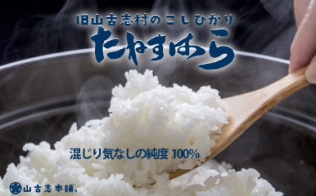 G3-06旧山古志村のこしひかり「たねすはら米」白米10kg（新潟県産コシヒカリ）