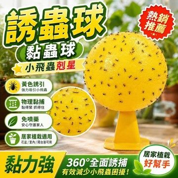 【人體無害&超粘】誘蠅球 黏蒼蠅球 超黏捕蠅球 捕蠅球 捕蠅板 捕蠅器 黏蟲板 黏蠅板 蒼蠅貼 黏果蠅 蒼蠅球 捕蟲