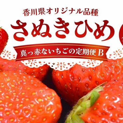 東かがわ市真っ赤な「いちご」の定期便（B）