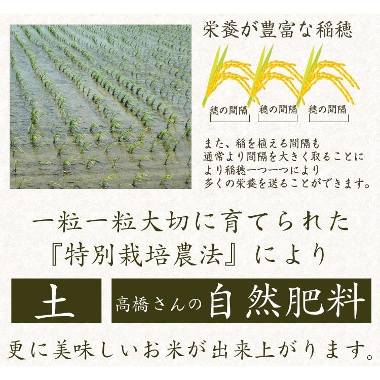 新米 令和3年 自然栽培米 無農薬 新米 米 送料無 5kg 高級 お歳暮 ギフト 高級 贈答 プレゼント 食べ物 純国産 金賞 コシヒカリ 送料無料 お祝い