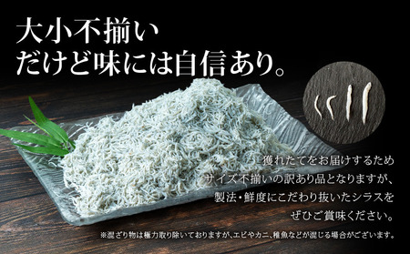 訳あり 釜揚げしらす 1kg たっぷり 冷凍 小分け パック 500g 2パック 駿河湾 （ 訳ありしらす 訳あり品 しらす訳あり 釜揚げしらす 釜揚げ訳あり 冷凍しらす 小分けしらす 駿河湾しらす FN-SupportProject 沼津FN-SupportProject しらす FN-SupportProject 年末企画 しらす年末企画 釜揚げしらす年末企画 ）