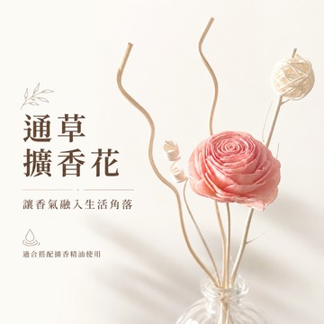沁心園 通草擴香花 擴香花 通草花 香氛擺飾 擴香擺飾 居家香氛 房間香氛 香氛花 桌面香氛佈置 居家香氛擺飾