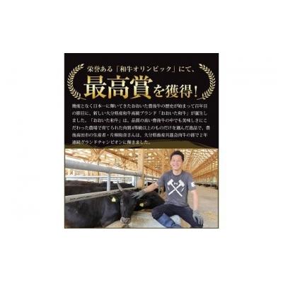 ふるさと納税 豊後高田市 片桐さんの「おおいた和牛」サーロインステーキ(200g×2枚)