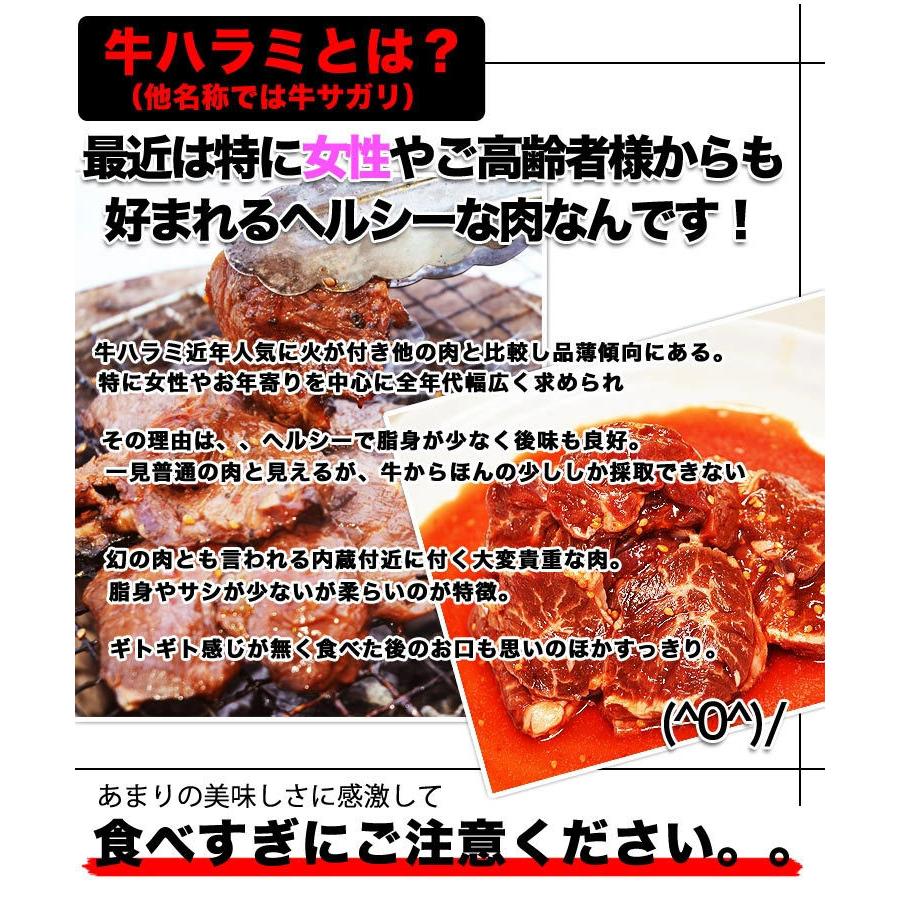 ハラミ サガリ 牛 300g タレ込 厚切り 味付き 秘伝タレ漬け 2個以上から注文数に応じオマケ付き 焼肉 BBQ バーベキュー　お歳暮