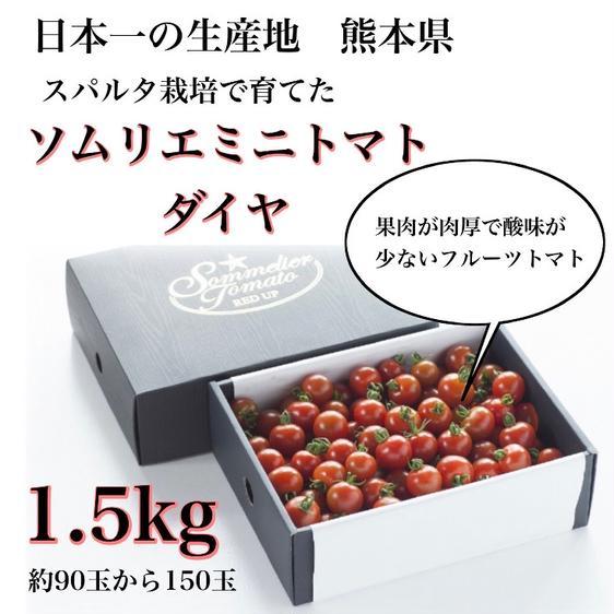 販売期間2023 12 18まで 野菜 トマト ソムリエミニトマト　ダイヤ1.５kg 産地直送