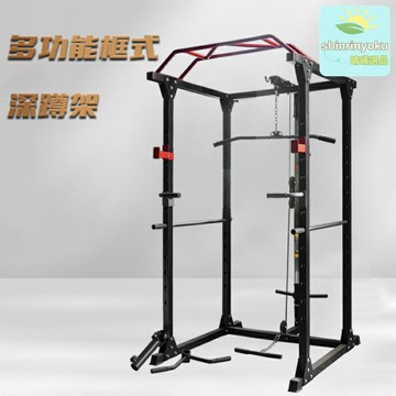 【家用全能】舉重床 龍門架 深蹲架 臥推架 綜合訓練器 槓鈴架 全框式結構 多功能一體 力量訓練 家庭健身房必備