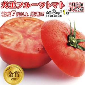  フルーツトマト 大箱 約2.6kg  （20～35玉）×1箱 糖度7度以上 トマト とまと 野菜 [BC018sa]